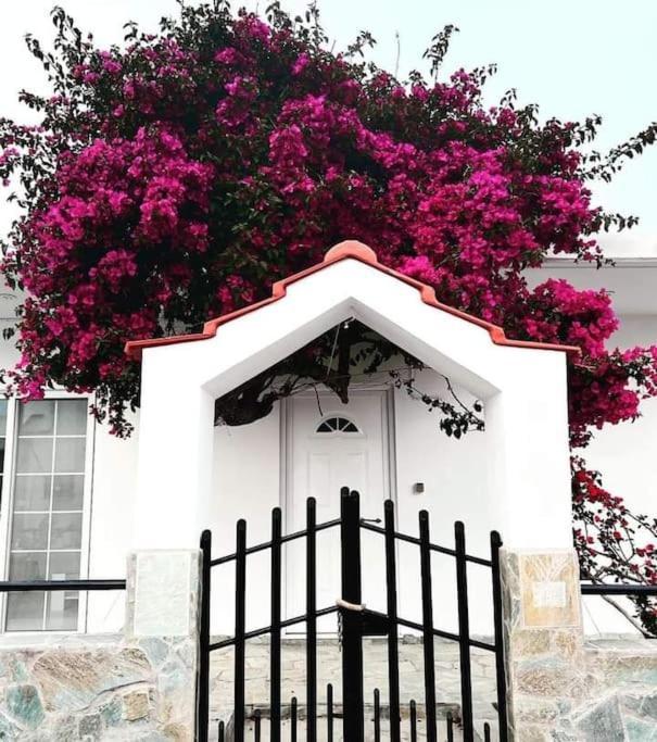 Annika'S Summer Dream Livadia (Tilos) Exterior foto